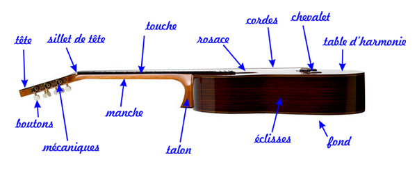 Cours de guitare classique et de composition pour tous niveaux