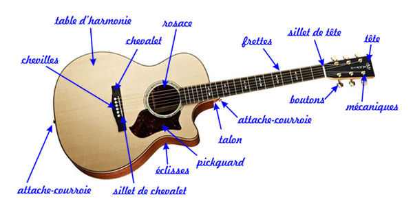 Article Le sillet de tête sur une guitare classique