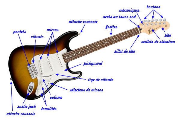 une guitare électrique - 1ère - Stratocaster