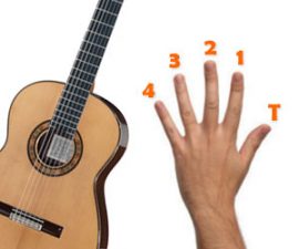 Les noms et les numéros des doigts à la guitare